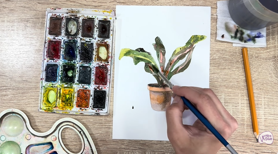 Рисуем Кротон в горшке