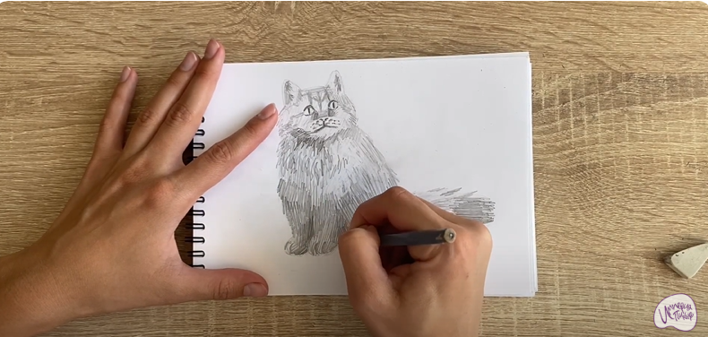 Рисуем Богемский рекс