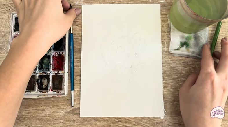 Рисуем Тис ягодный