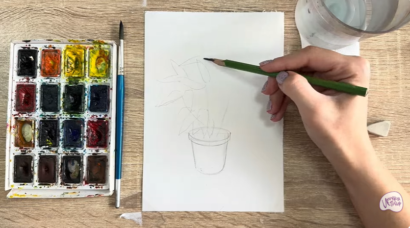 Рисуем Аукуба японская