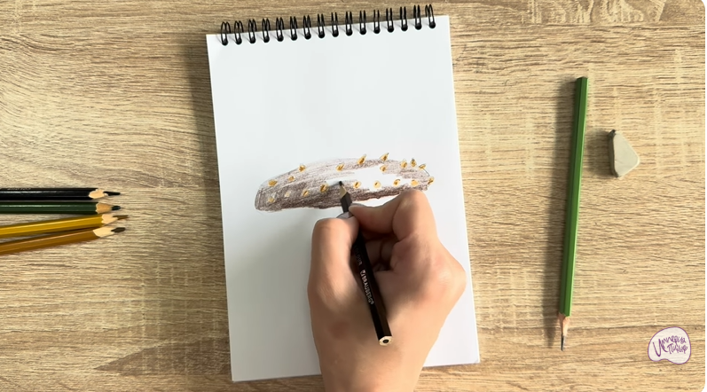 Рисуем Голотурия