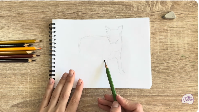 Рисуем Кот породы Оцикет