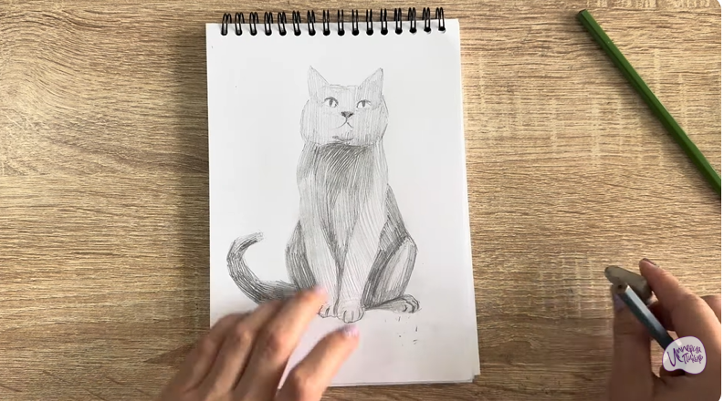 Рисуем Кот породы Шартрез