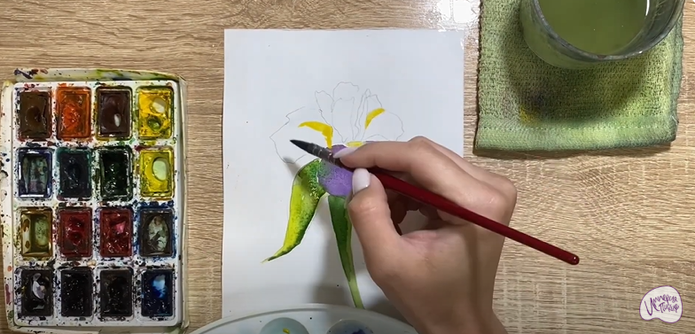 Рисуем Ирис