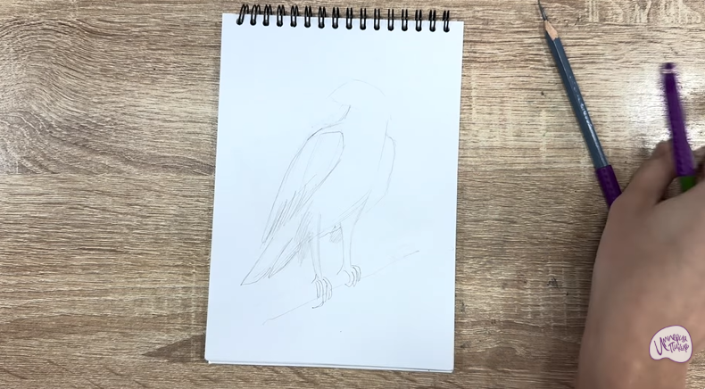 Рисуем Хохлатый осоед