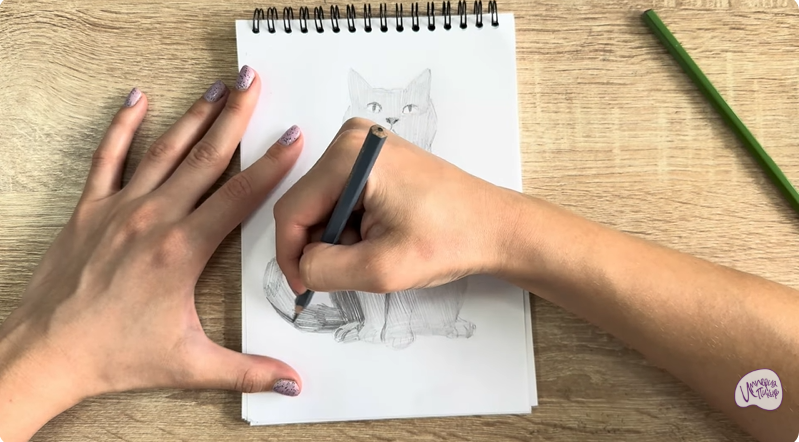 Рисуем Кот породы Шартрез