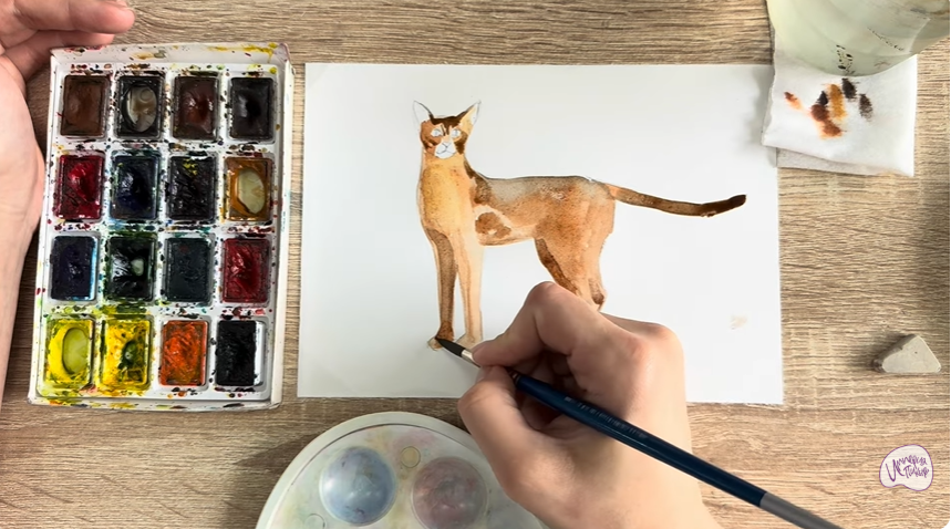 Рисуем Кошка "Чаузи"