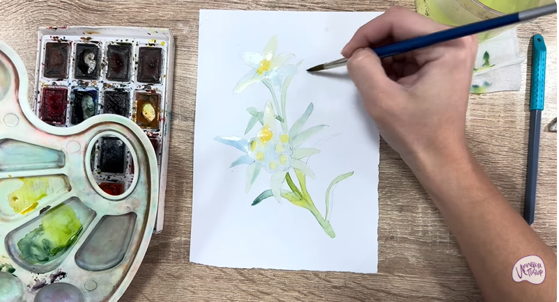 Рисуем Эдельвейс