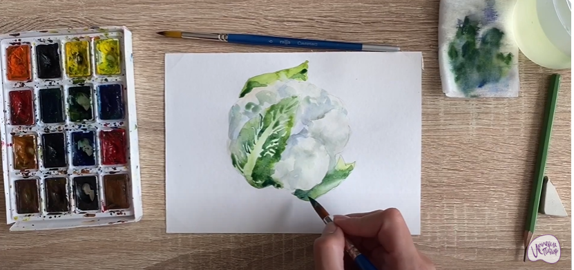 Рисуем Цветная капуста