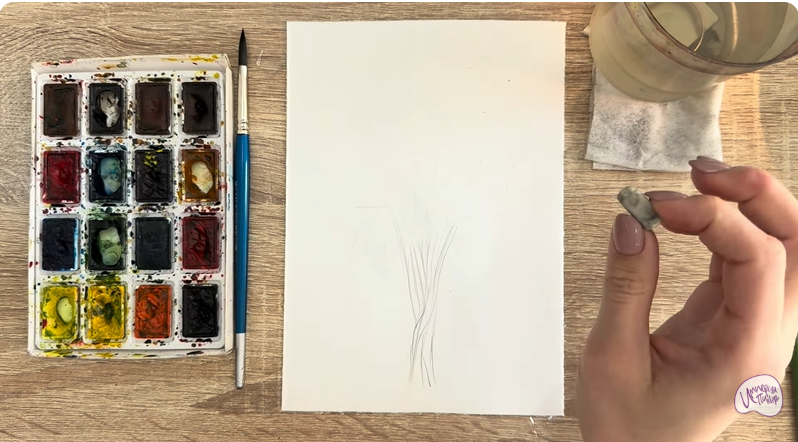 Рисуем Багрянник японский