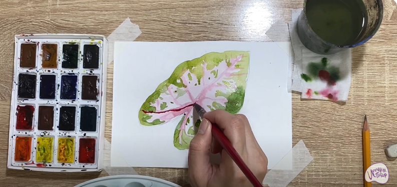 Рисуем Лист каладиума