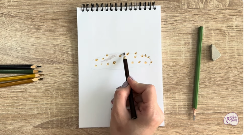 Рисуем Голотурия