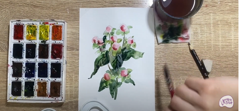 Рисуем Цветок "Гиперикум"