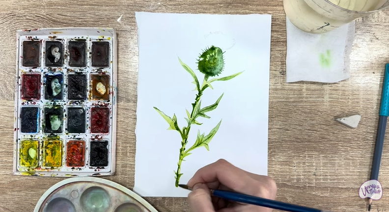 Рисуем Бодяк