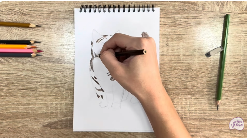 Рисуем Кошка породы "Манчкин"