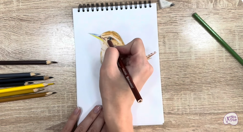 Рисуем Крапивник