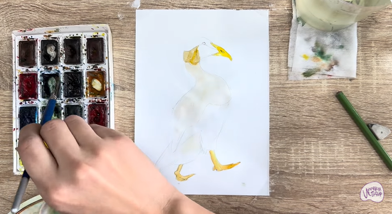 Рисуем Обыкновенная гага