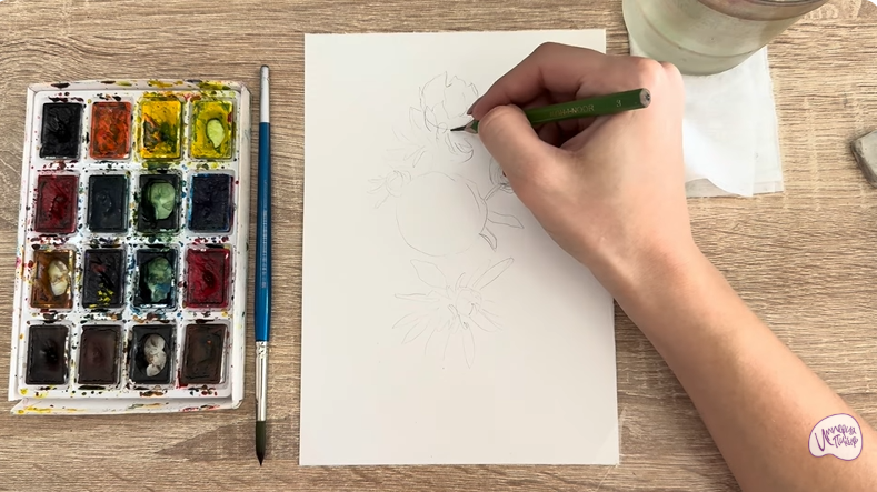 Рисуем Лапчатка