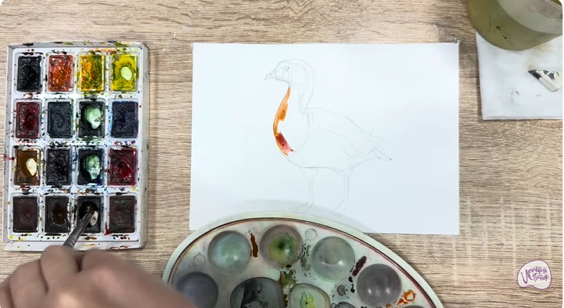 Рисуем Краснозобая казарка