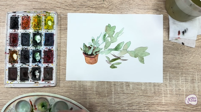 Рисуем Пеллиония в горшке