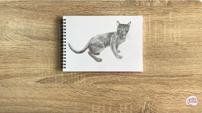 Рисуем Бомбейская кошка