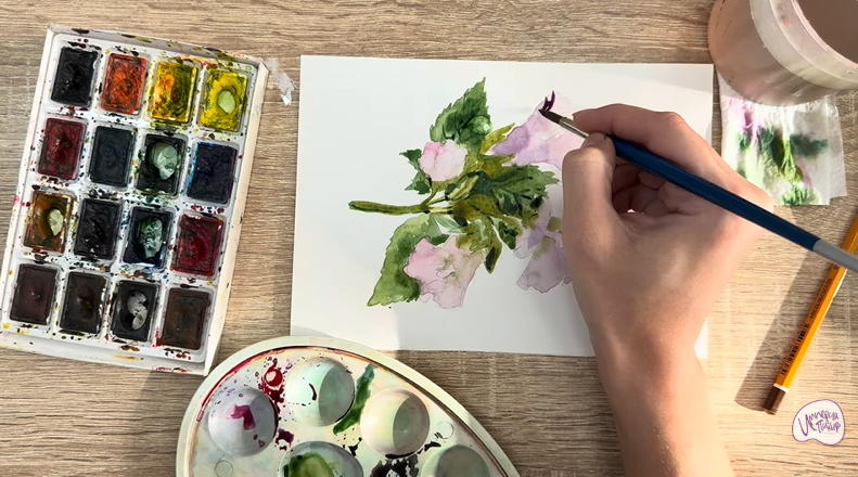 Рисуем Алтей лекарственный