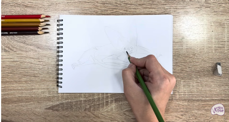 Рисуем Бурый ушан