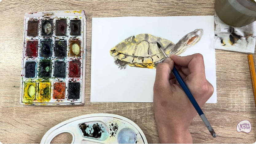 Рисуем Красноухая черепаха