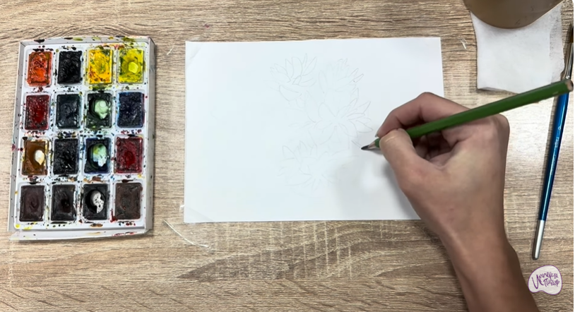 Рисуем Очиток