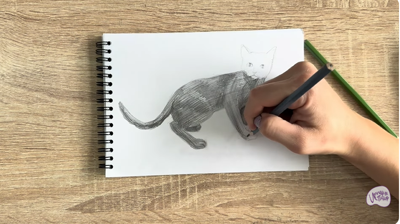 Рисуем Бомбейская кошка