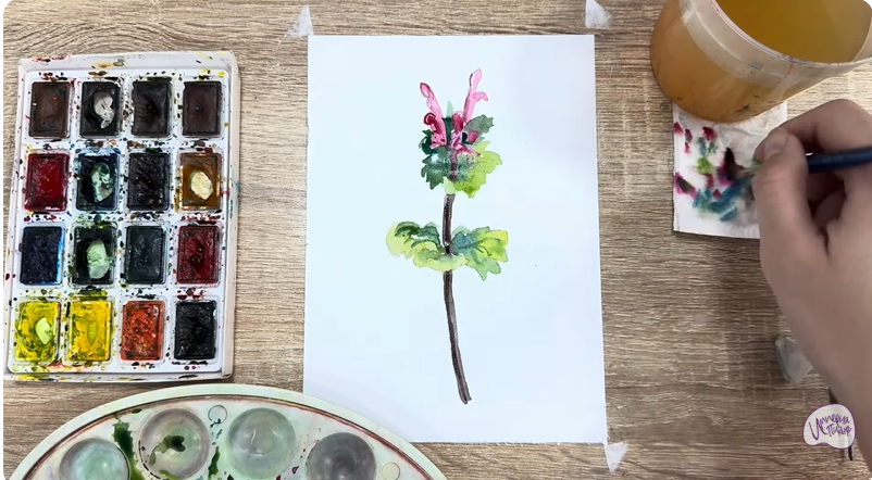 Рисуем Яснотка