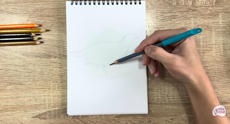 Рисуем Канадская дикуша