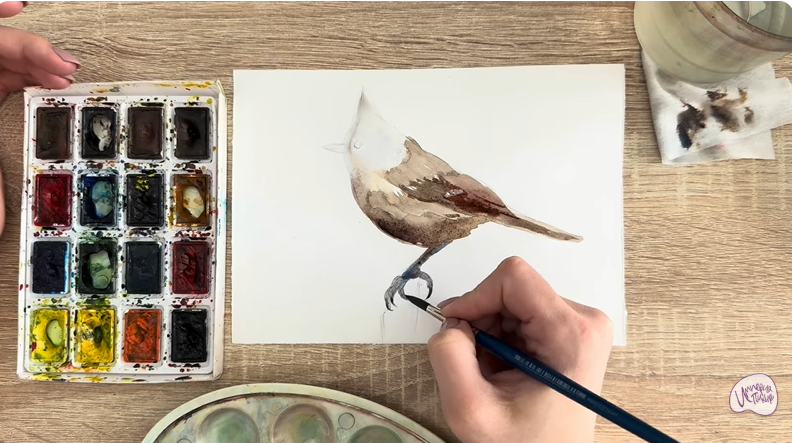 Рисуем Хохлатая синица