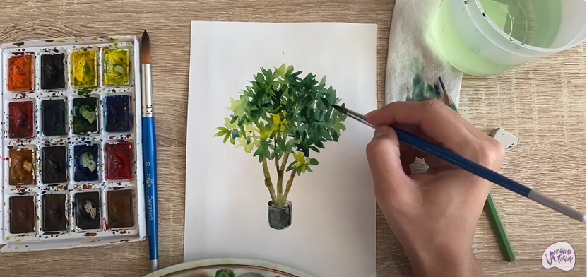 Рисуем Бересклет