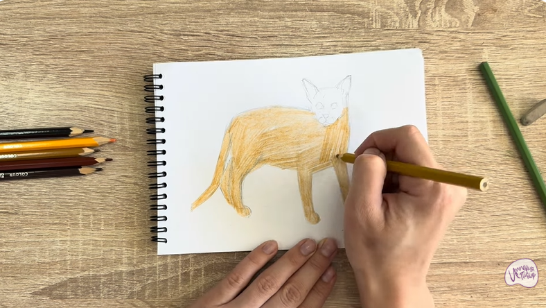 Рисуем Кот породы Оцикет