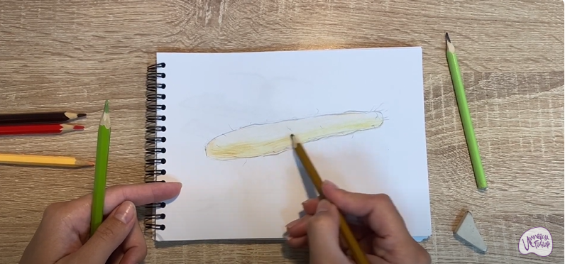 Рисуем Ямс