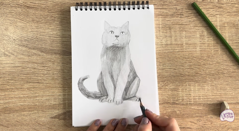 Рисуем Кот породы Шартрез