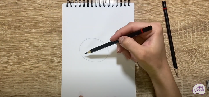 Рисуем Скорлупа