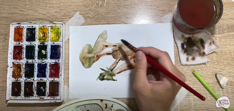 Рисуем Аскокорине торфяная