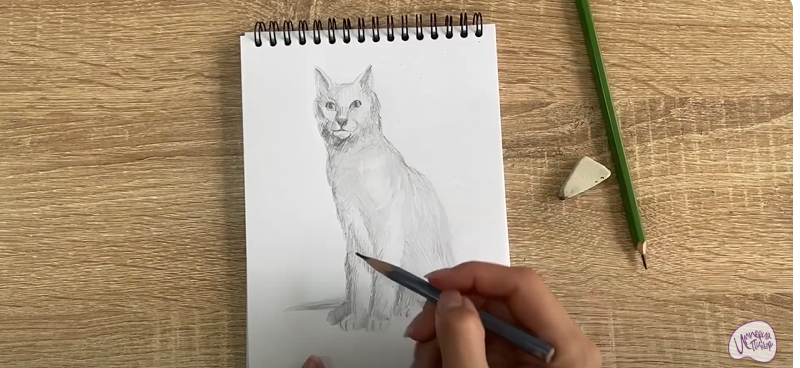 Рисуем Турецкая ангора