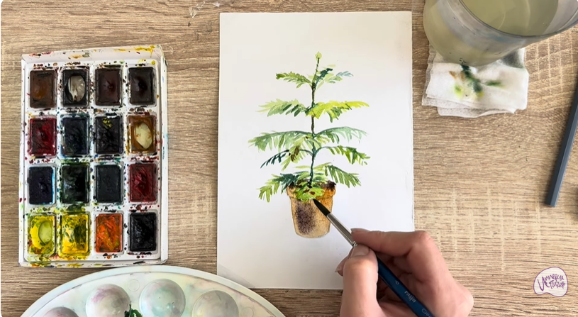 Рисуем Араукария в горшке