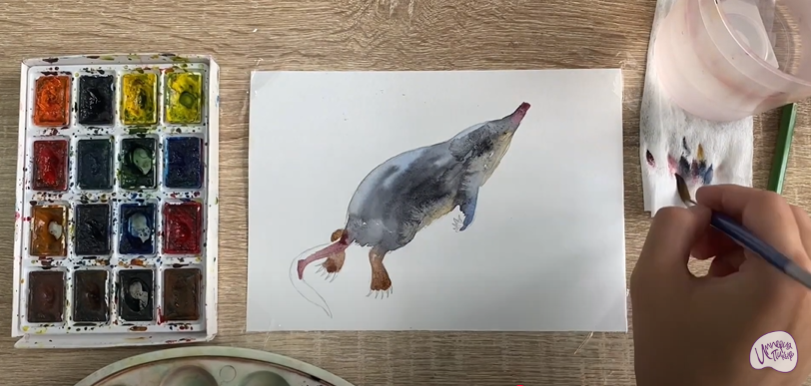 Рисуем Выхухоль
