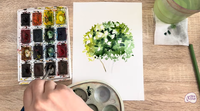 Рисуем Саженец бирючины