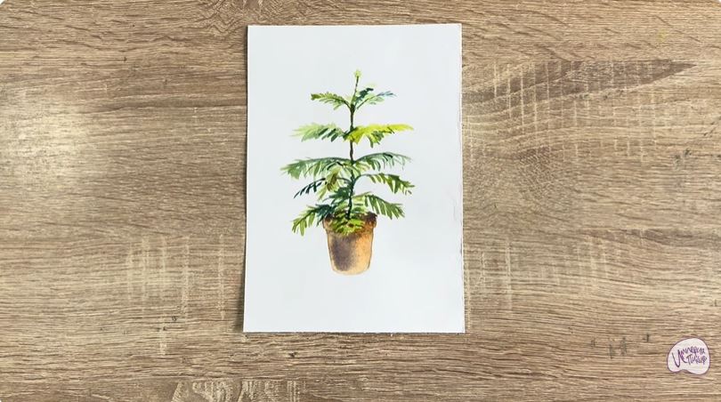 Рисуем Араукария в горшке