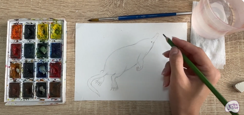 Рисуем Выхухоль