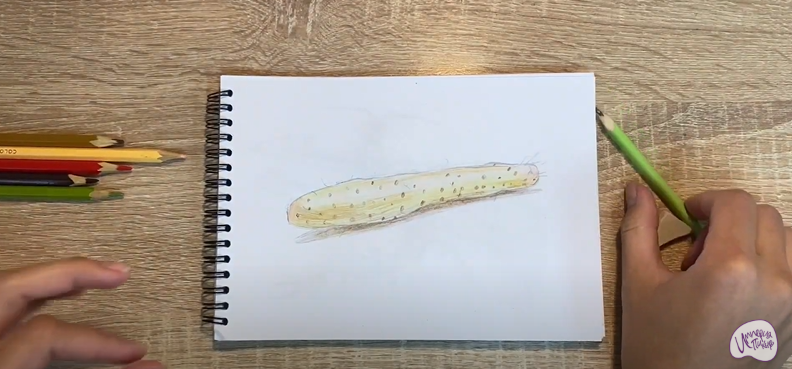 Рисуем Ямс
