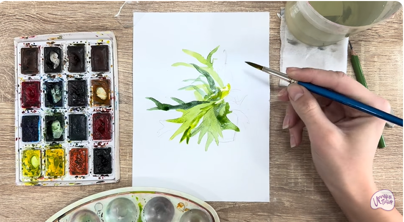 Рисуем Платицериум в горшке