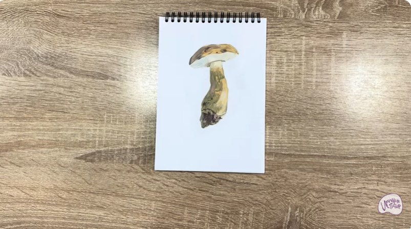 Рисуем Жёлчный гриб