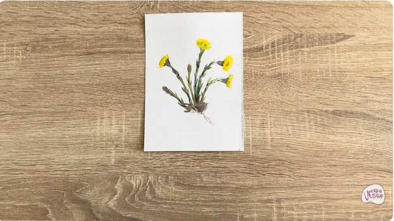 Рисуем Мать-и-мачеха