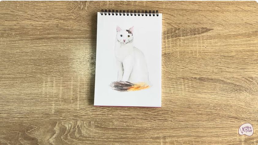 Рисуем Кот породы "Турецкий ван" Рисуем Кот породы "Турецкий ван"